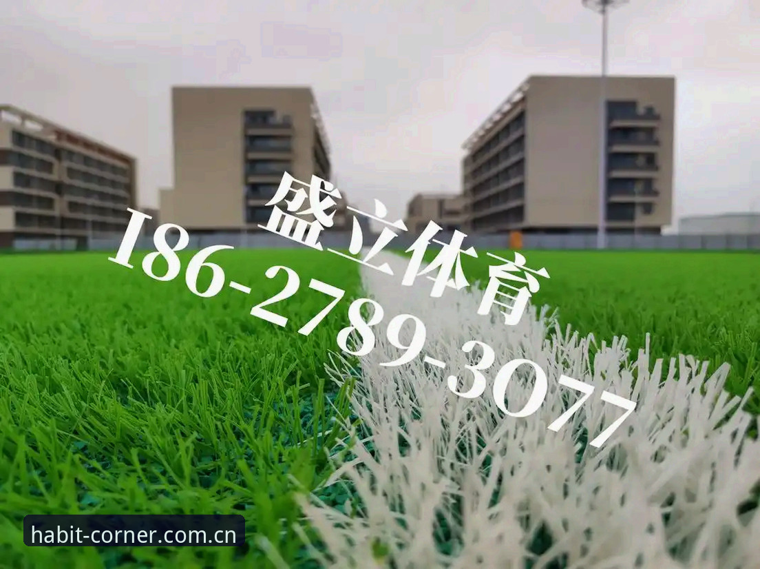 索尔巴肯回应出线概率质疑：4分才稳，球场像人造草皮